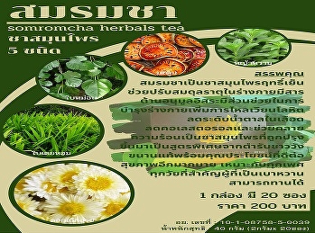 Somsom Tea Herbal tea for health