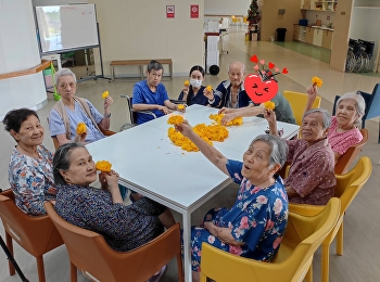 occupational therapy for the elderly
