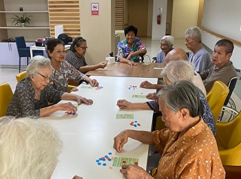 Afternoon leisure activity playing pingo