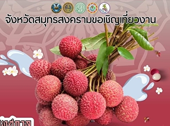 Invitation to the festival Samut
Songkhram Lychee and good things in Mae
Klong