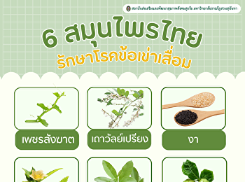 6 Thai herbs to treat osteoarthritis