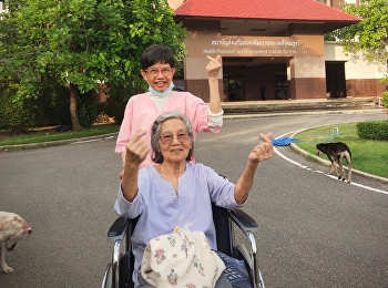 Taking the elderly for a walk Breathe in
the evening air